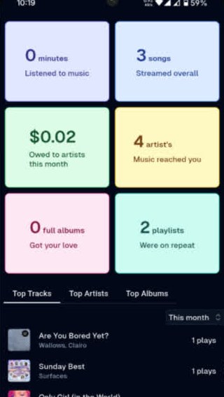 Spotube 手机版统计页：听歌时长、曲目数、艺人数等统计卡片